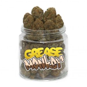 buy grease monkey strain online