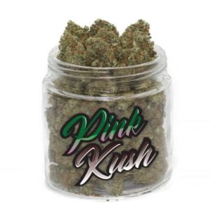 buy pink kush strain online