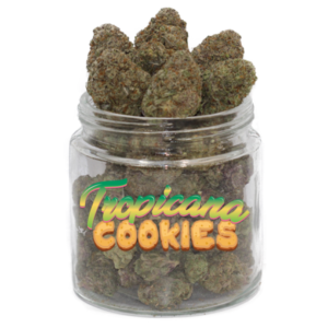 buy tropicana cookies strain